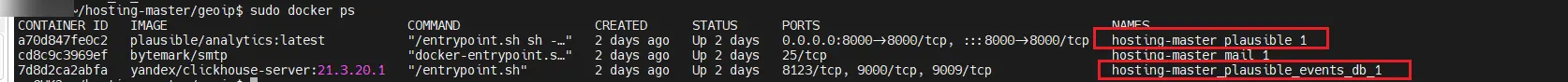 docker containers name